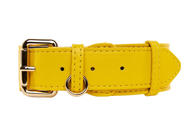 Yellow Italian Leather Classic Collar/Gold Classic Hardware