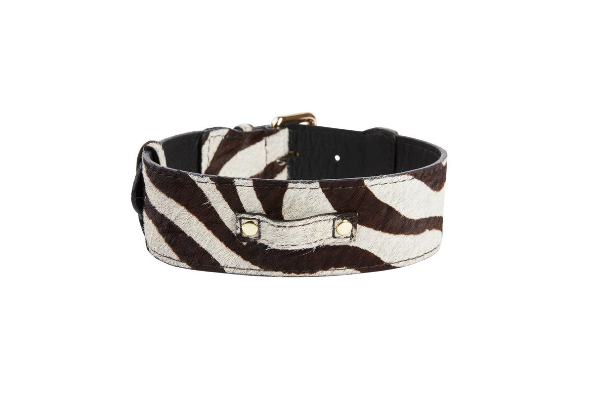 Allysa Payne Distressed Brown & White Zebra Print Hair On Hide Classic Dog Collar with Gold Classic Hardware