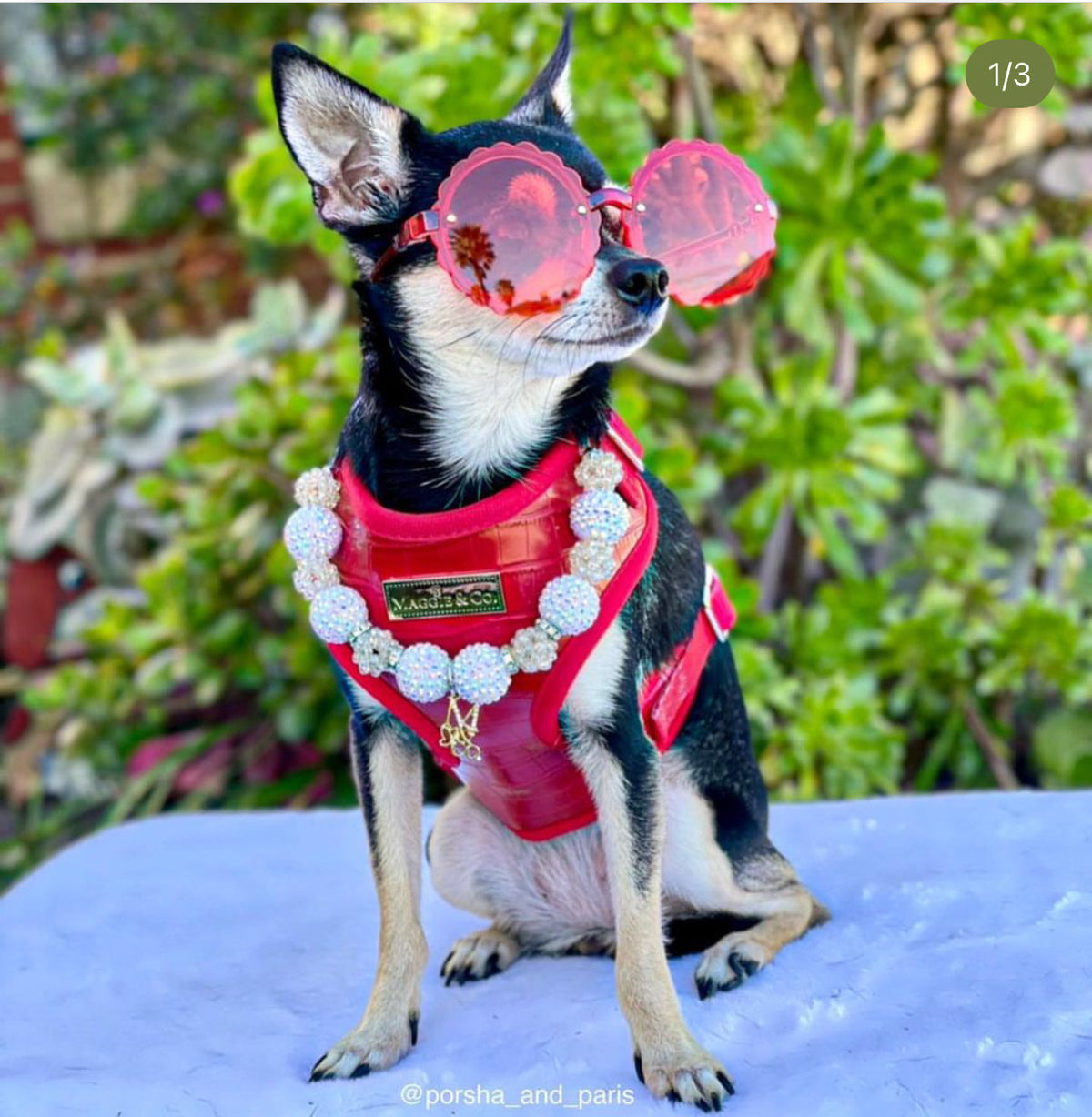 The Ruby Harness
