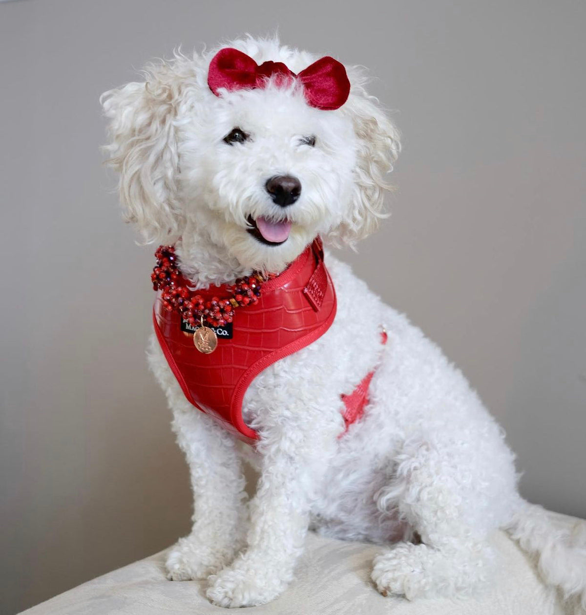 The Ruby Harness