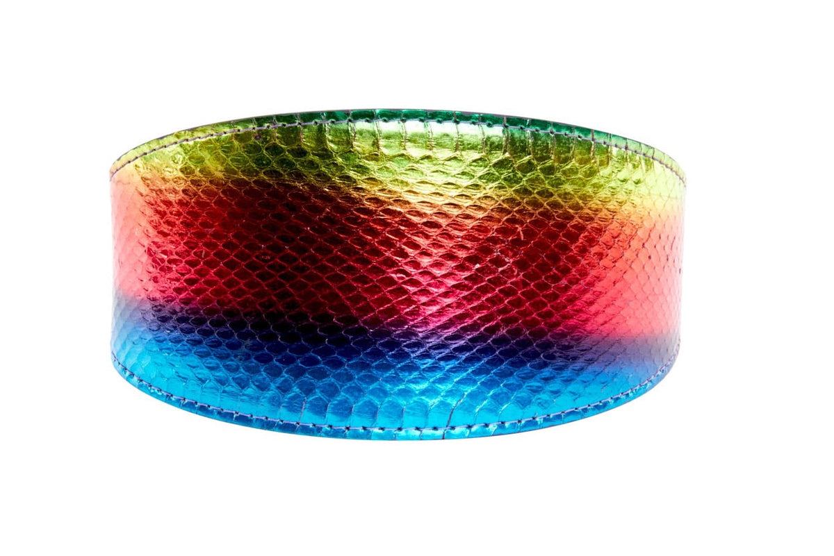 Allysa Payne Pride Collection. Rainbow Snake 3-Inch Wide Style Dog Collar