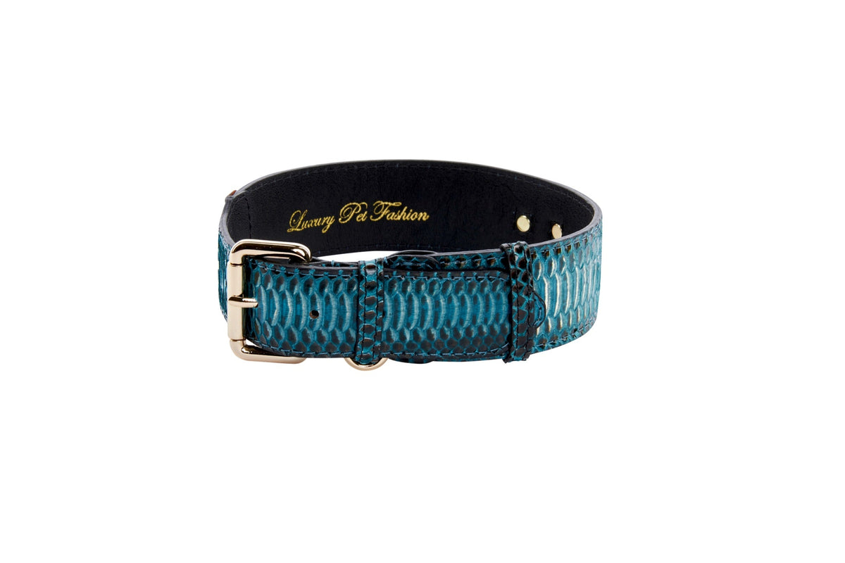 Allysa Payne Turquoise, Black Snake Classic Dog Collar With Gold Classic Hardware