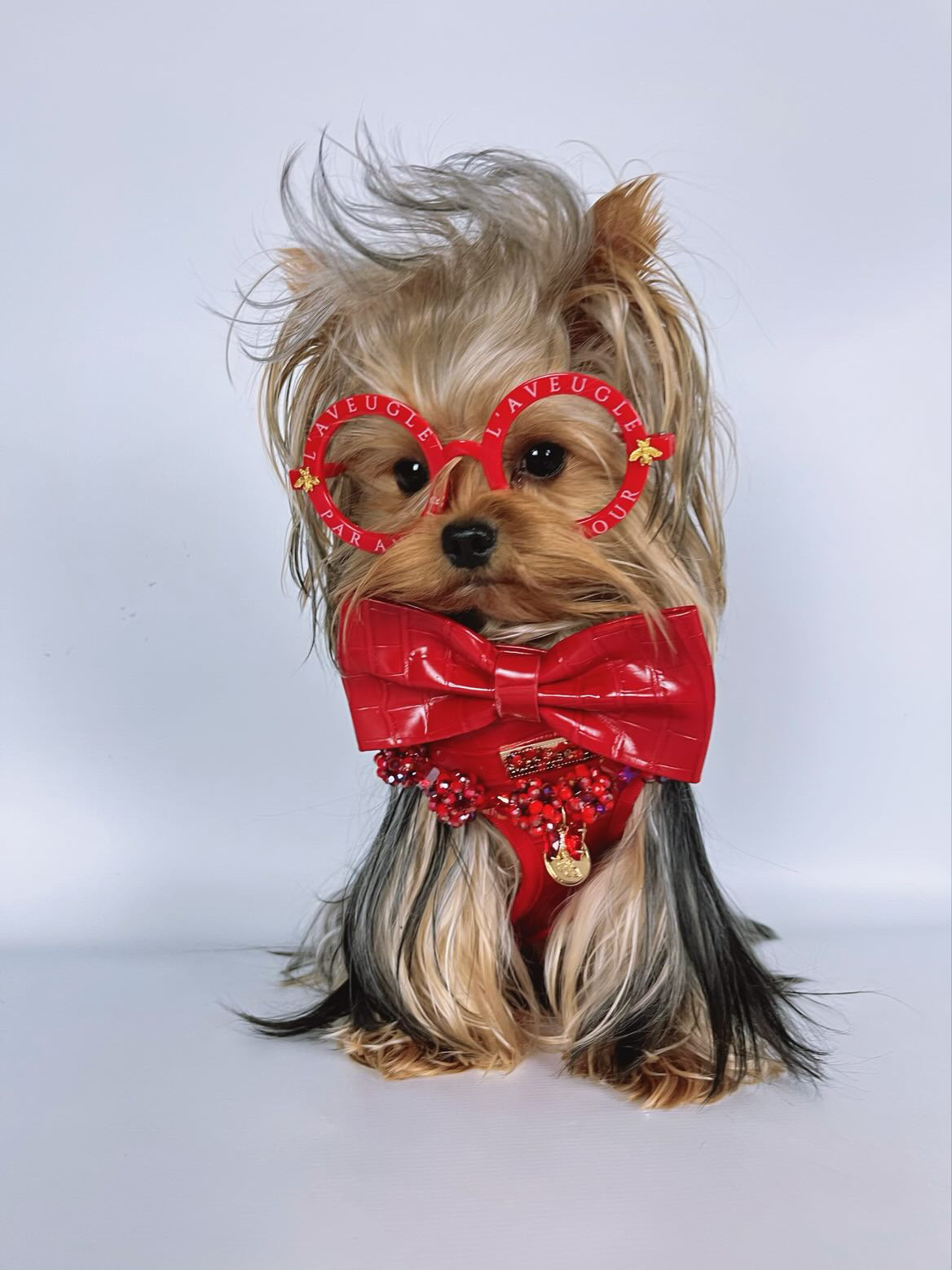 The Ruby Bow Tie