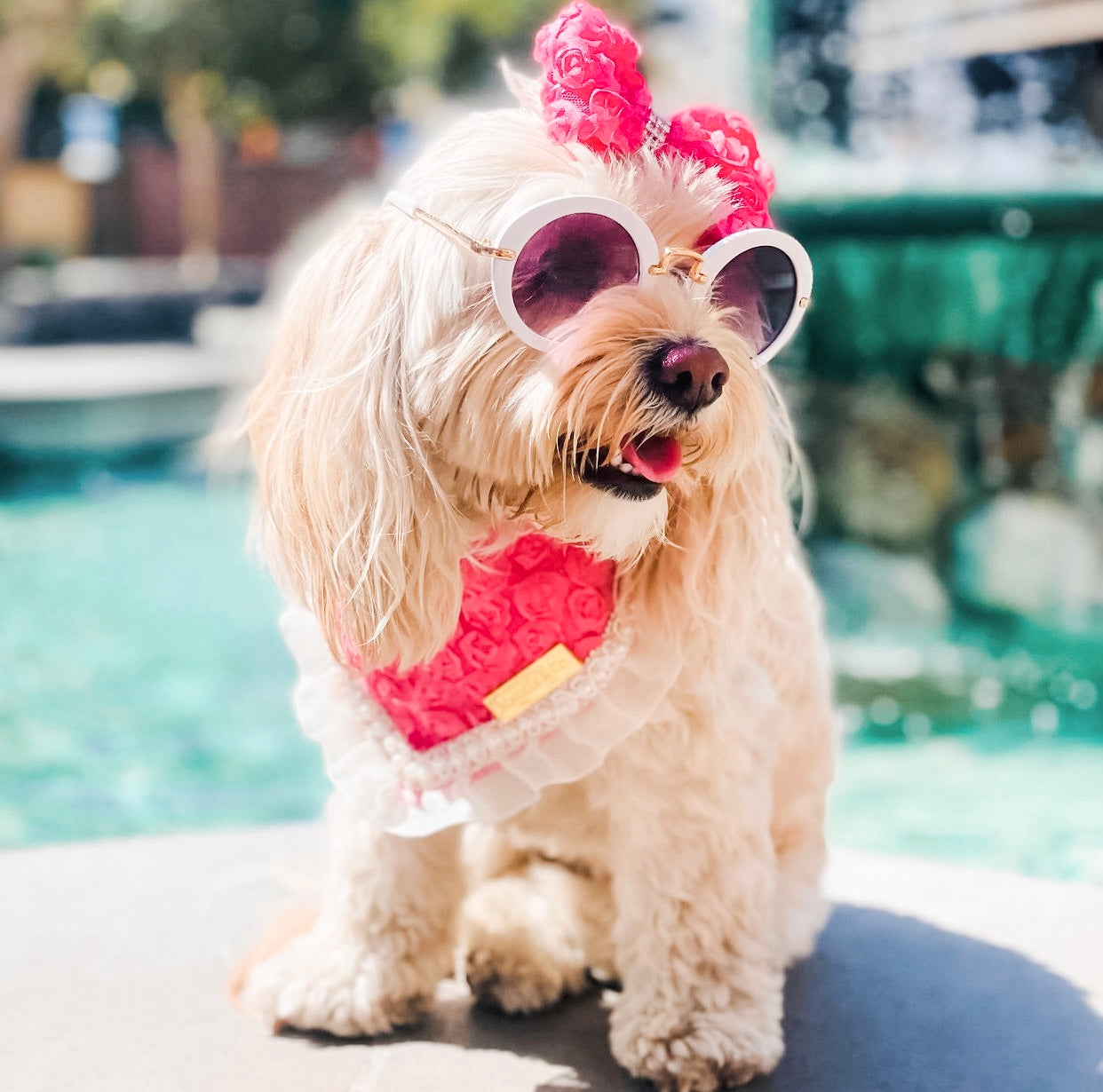 Forever Bliss: Miss Bailey