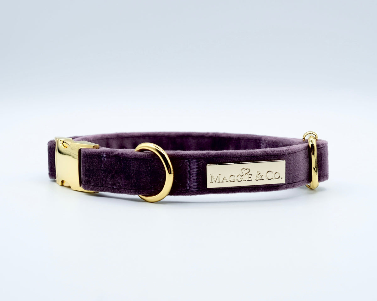 Velvet: The Susana Bow Tie Collar