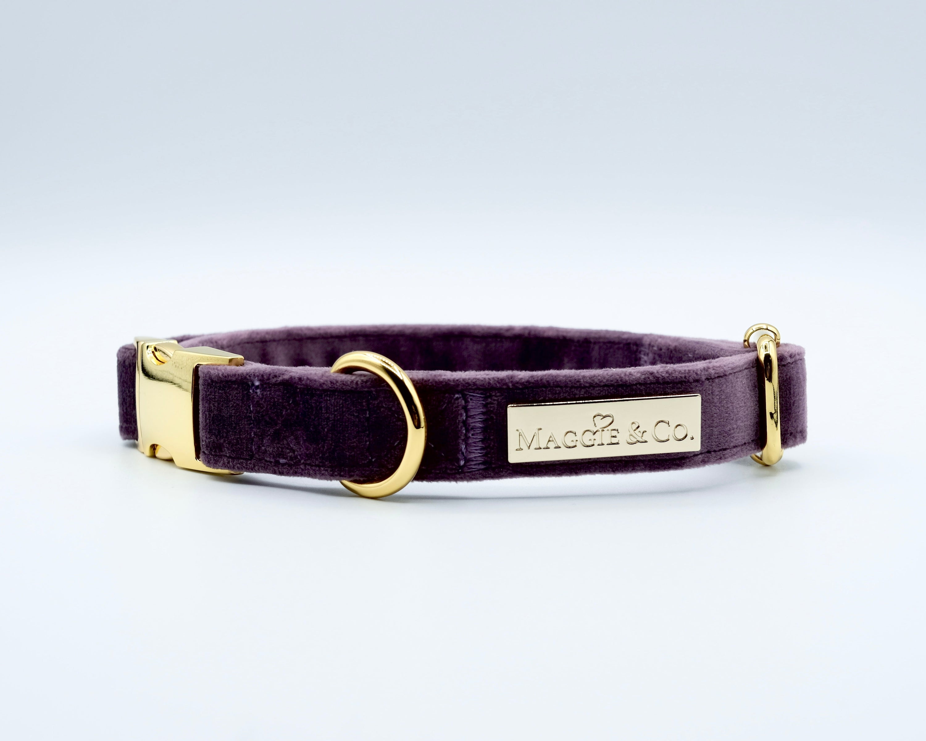 Velvet: The Susana Bow Tie Collar