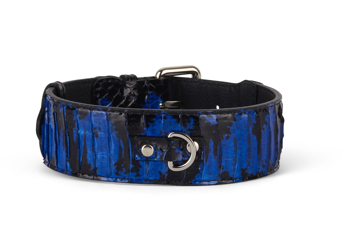 Allysa Payne Black and Royal Blue Snake 3-Inch Wide Style Dog Collar