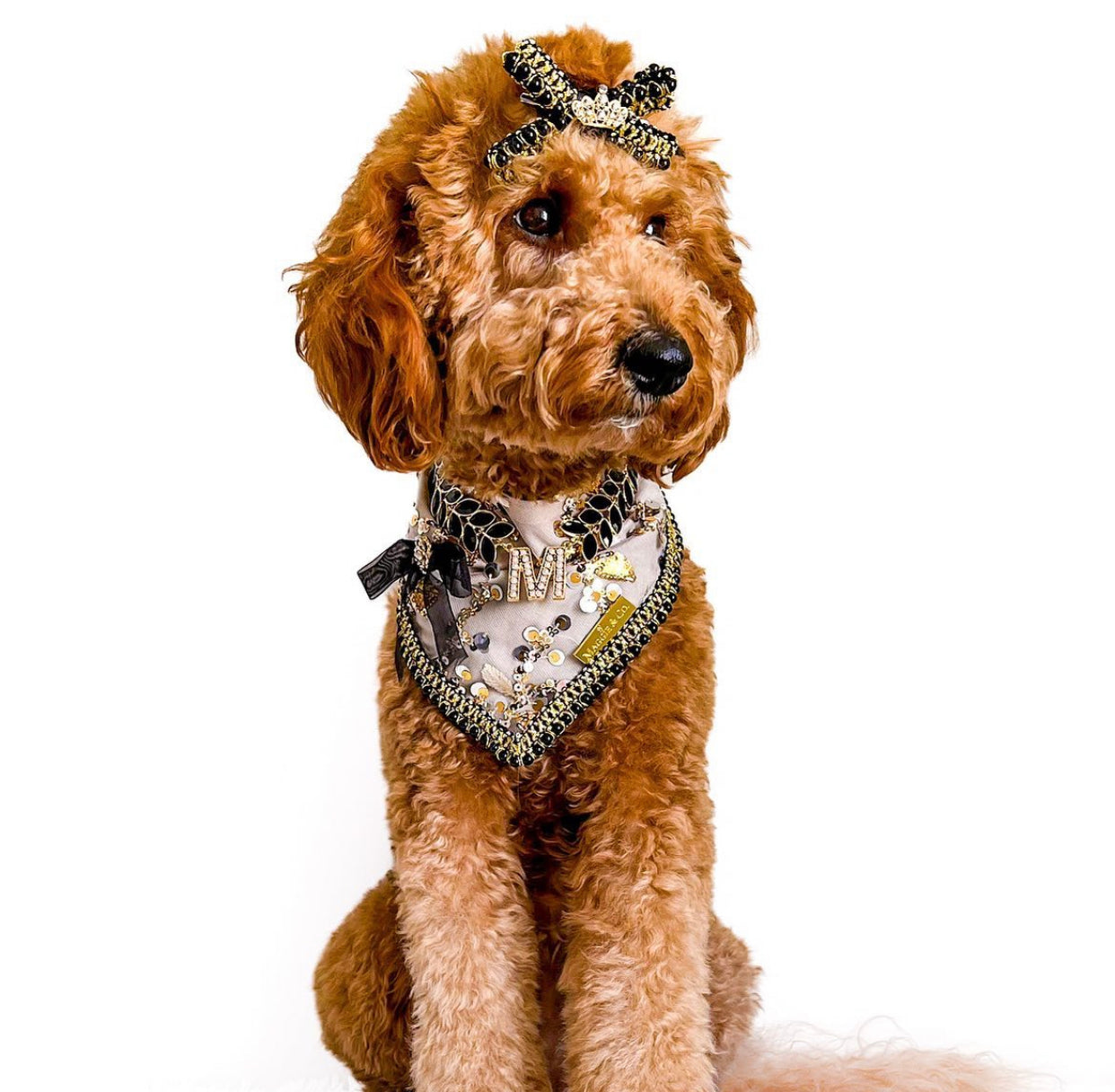 Celebrations : The Mia