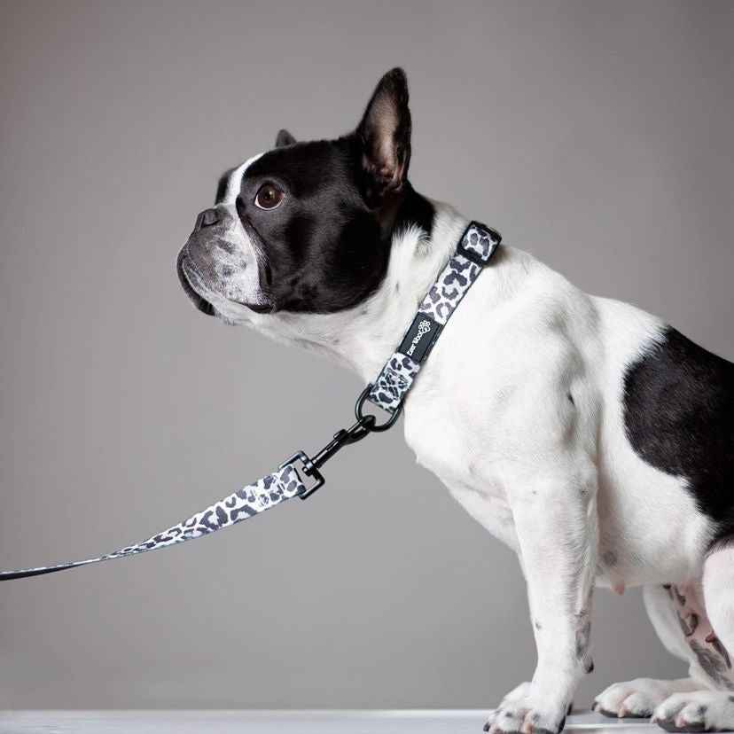 Ever So Wild Collar