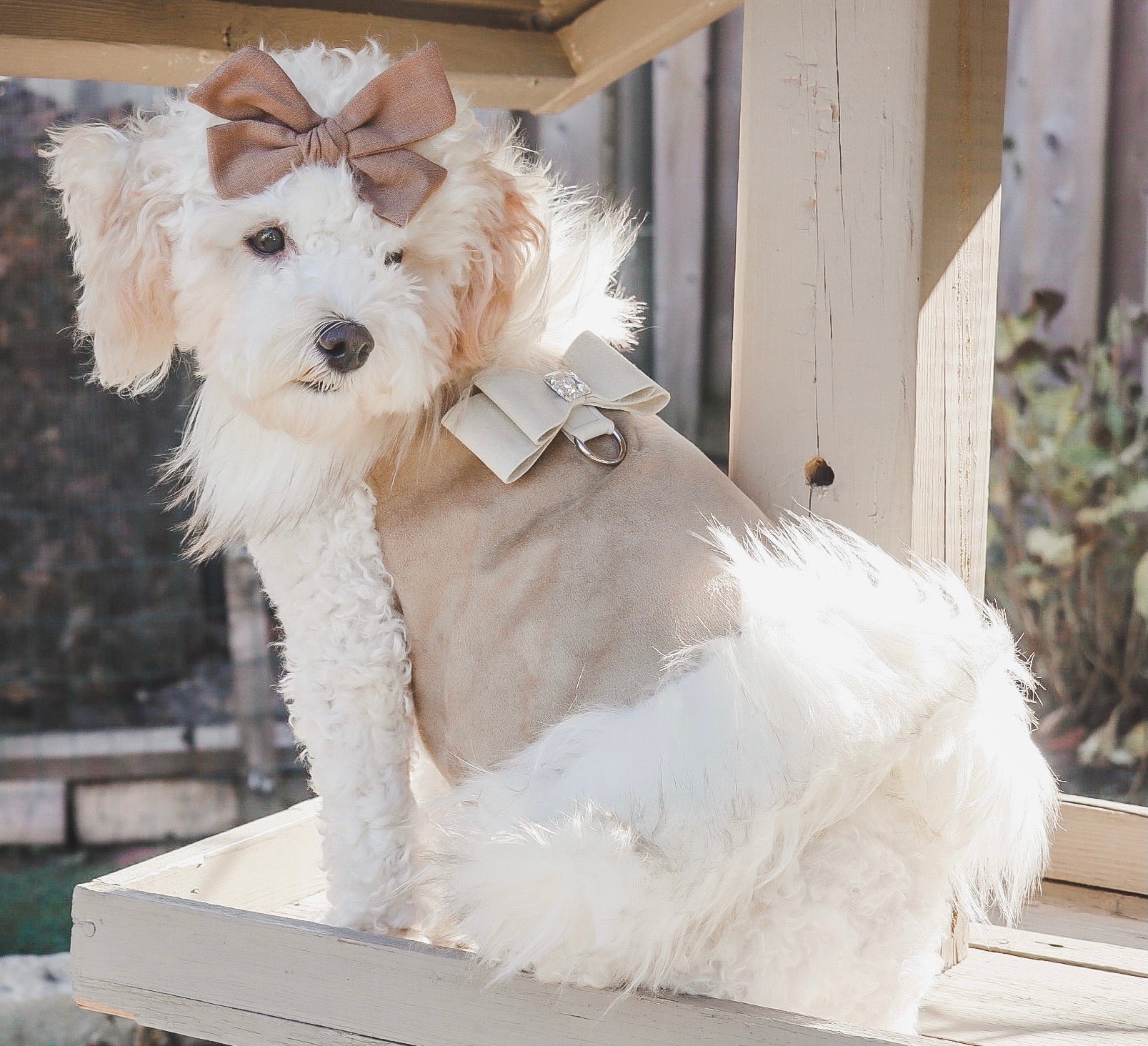 Bow: Toffee