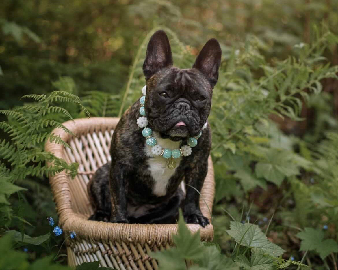 Necklace: The Audrey