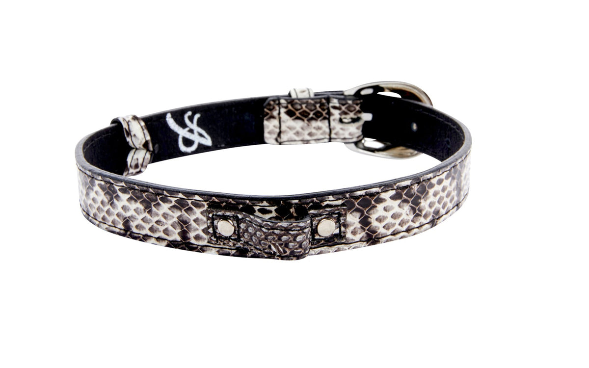 Allysa Payne Black & White Viper Snake Dog Collar With Silver Oval Italian Hardware