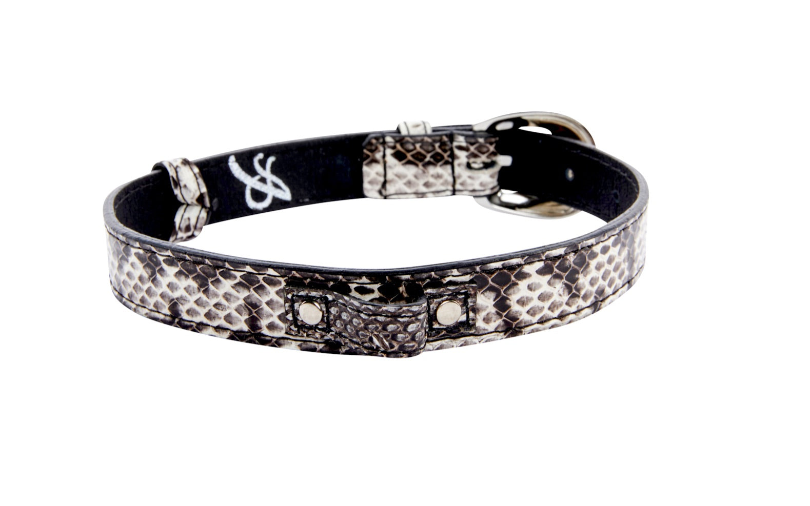 Allysa Payne Black & White Viper Snake Dog Collar With Silver Oval Italian Hardware