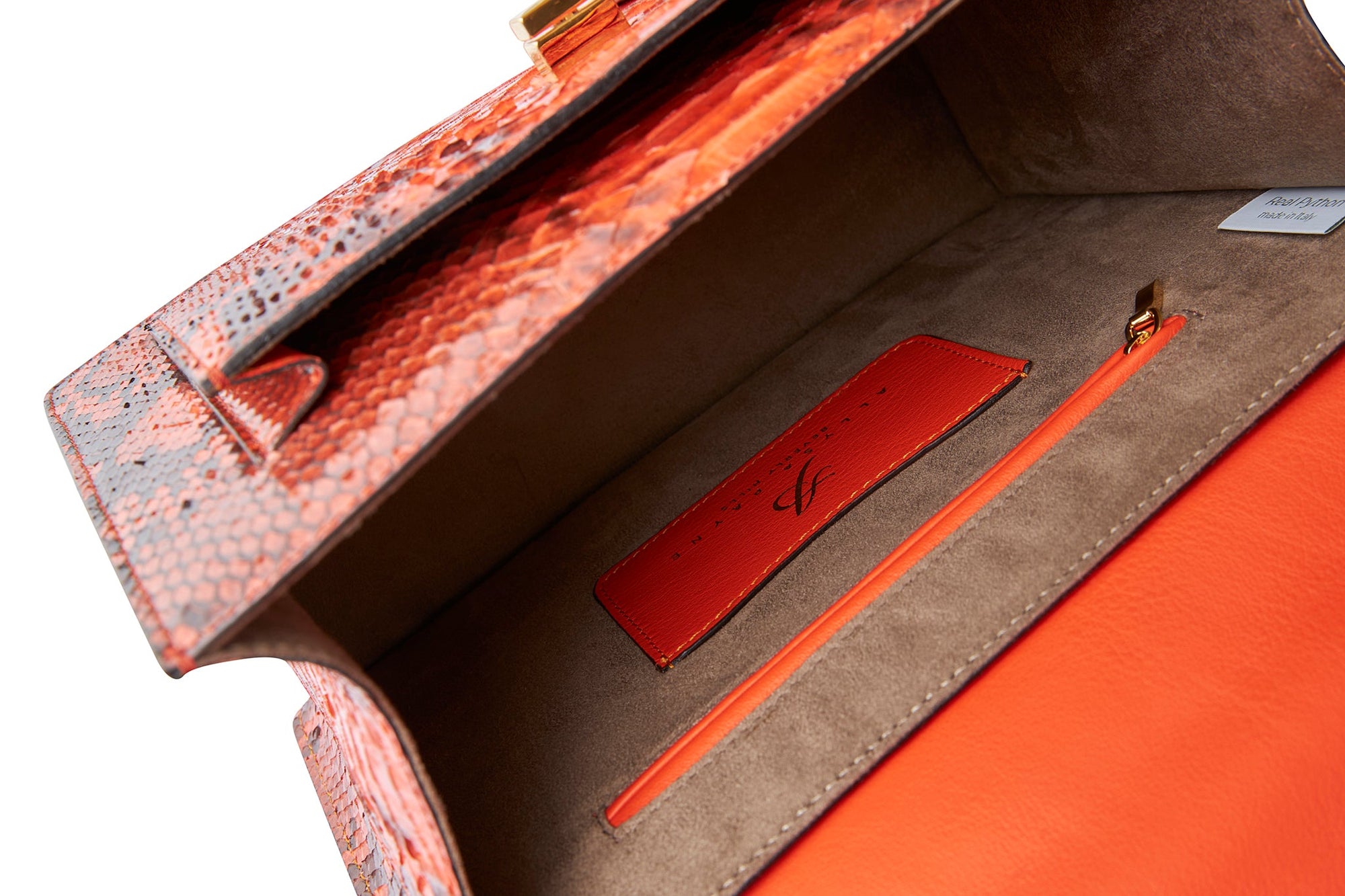 Allysa Payne The Toucan Handbag
