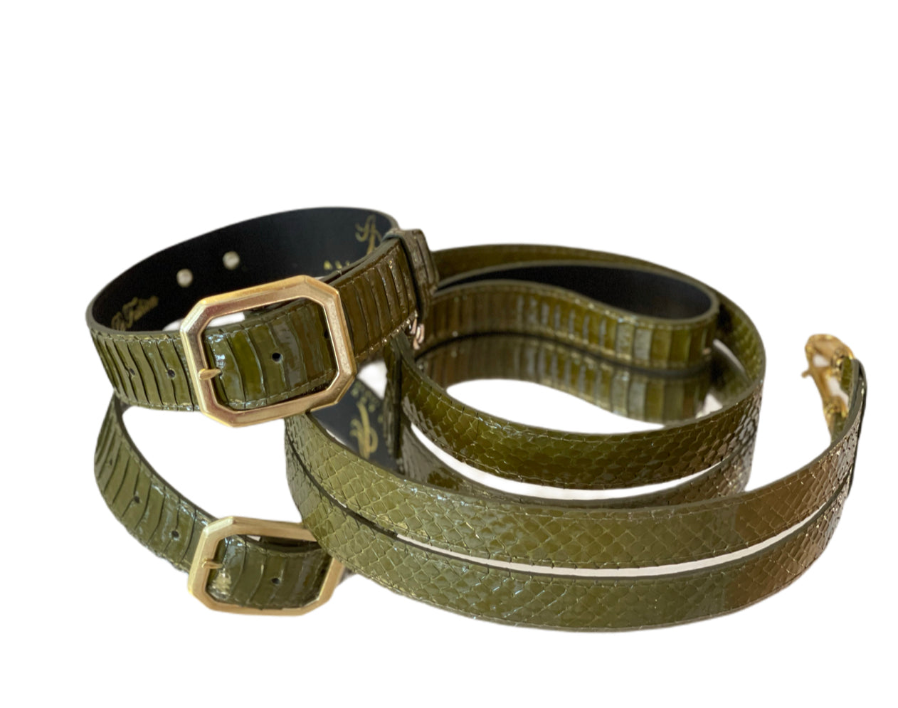 Allysa Payne Luxury Pet Fashion Olive Snakeskin Dog Collar & Leash Set