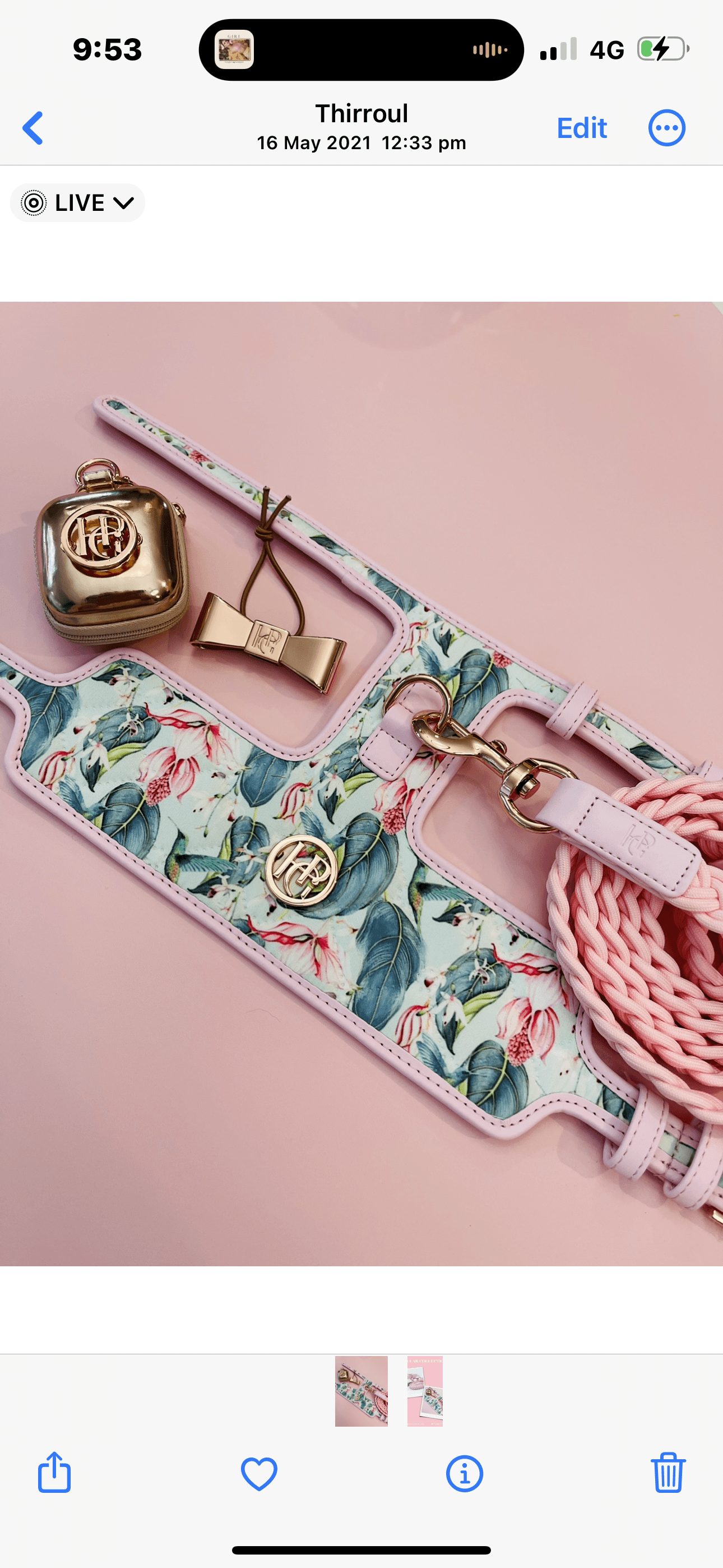 The Hummingbird Dog Harness