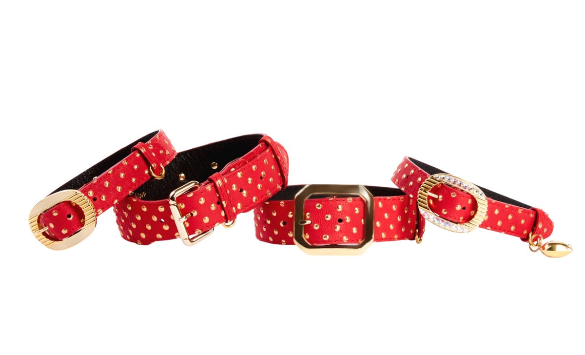 Allysa Payne Red & Gold Polka Dot Italian Leather Set Of 4 Dog Collar
