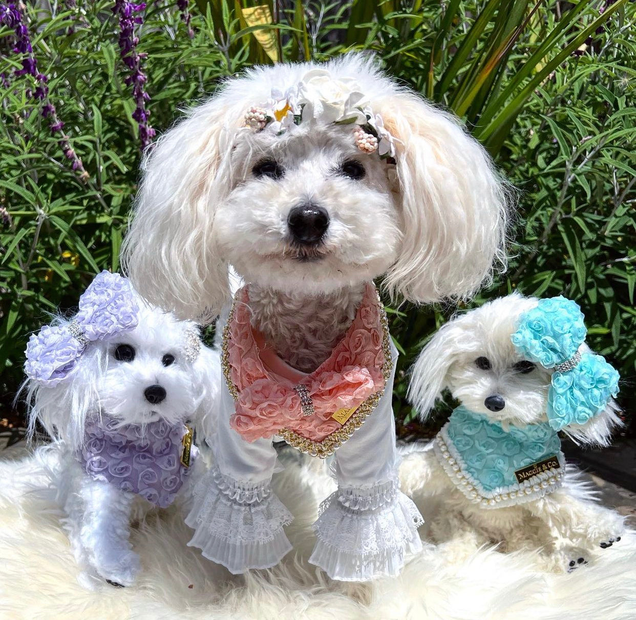 Forever Bliss: Pretty in Pink