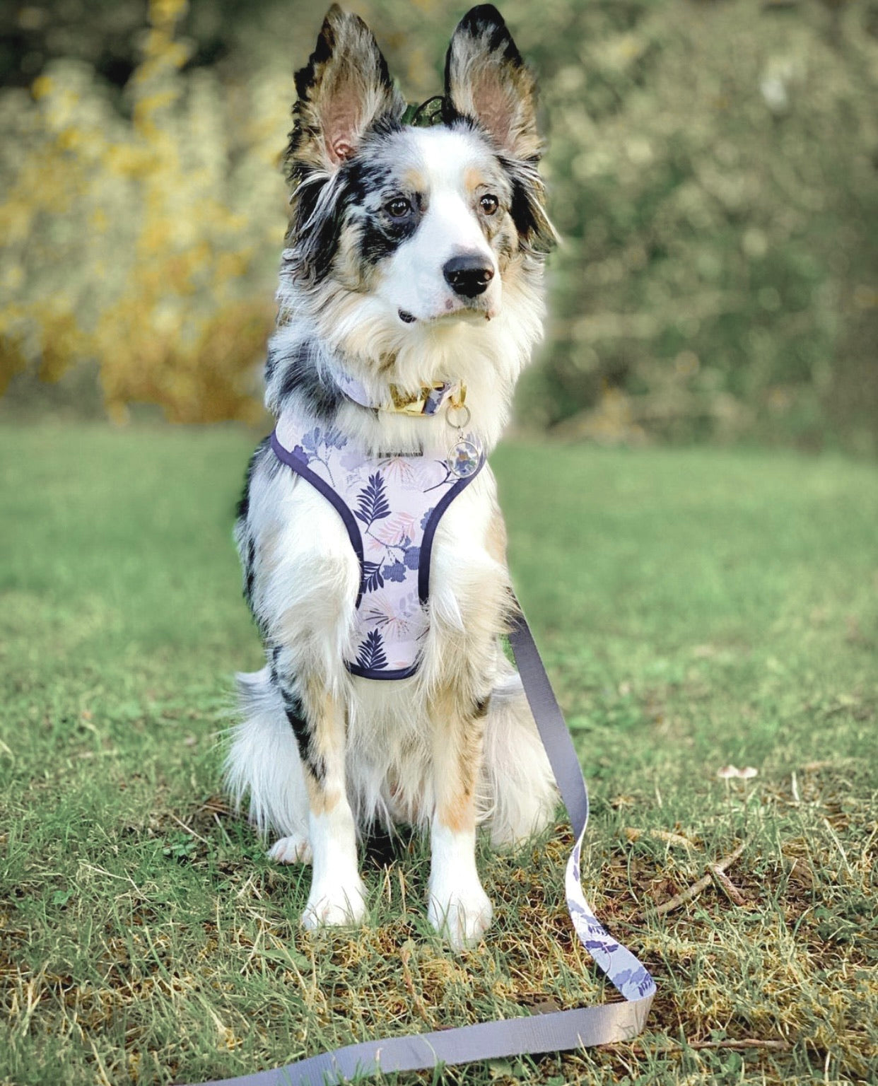 Breezy Reversible Harness