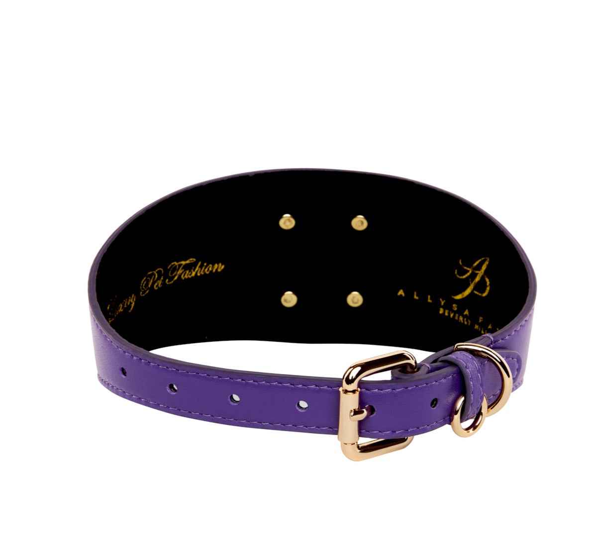 Allysa Payne Purple Italian Leather 3-Inch Wide Style Dog Collar With Large Gold Custom Rivet