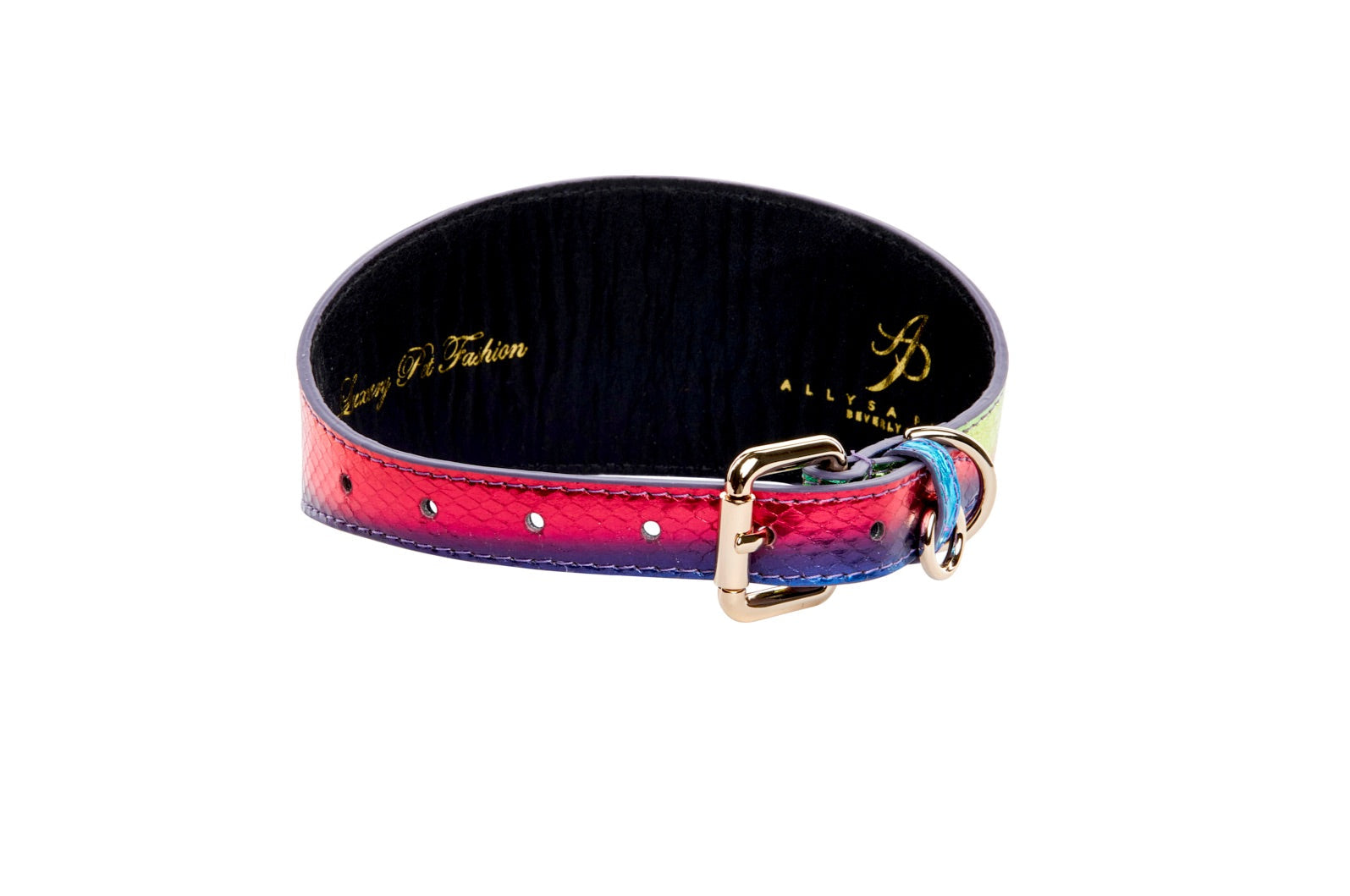 Pride Collection. Rainbow Snake 3" Wide Style Collar
