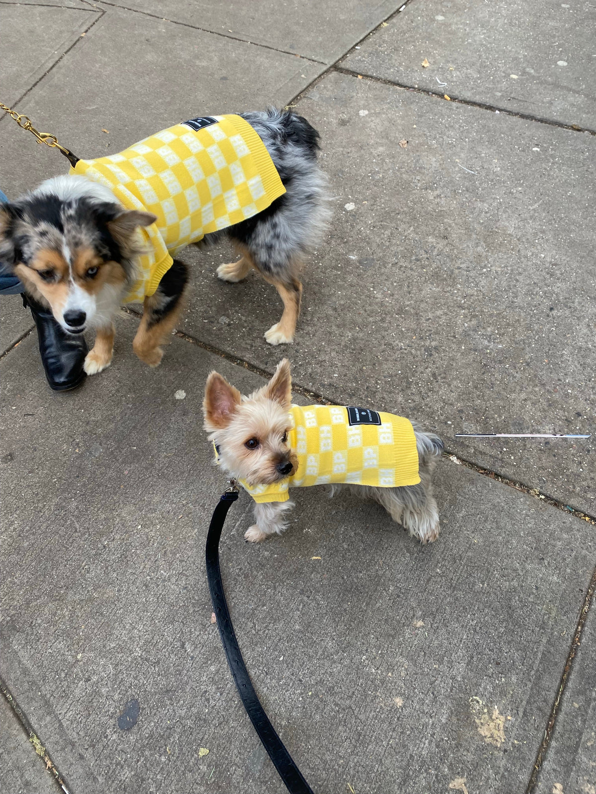 BESPOKE PAWS BP X BH Check Sweater vest - Cotton Recycled Warm Cozy Sweaters