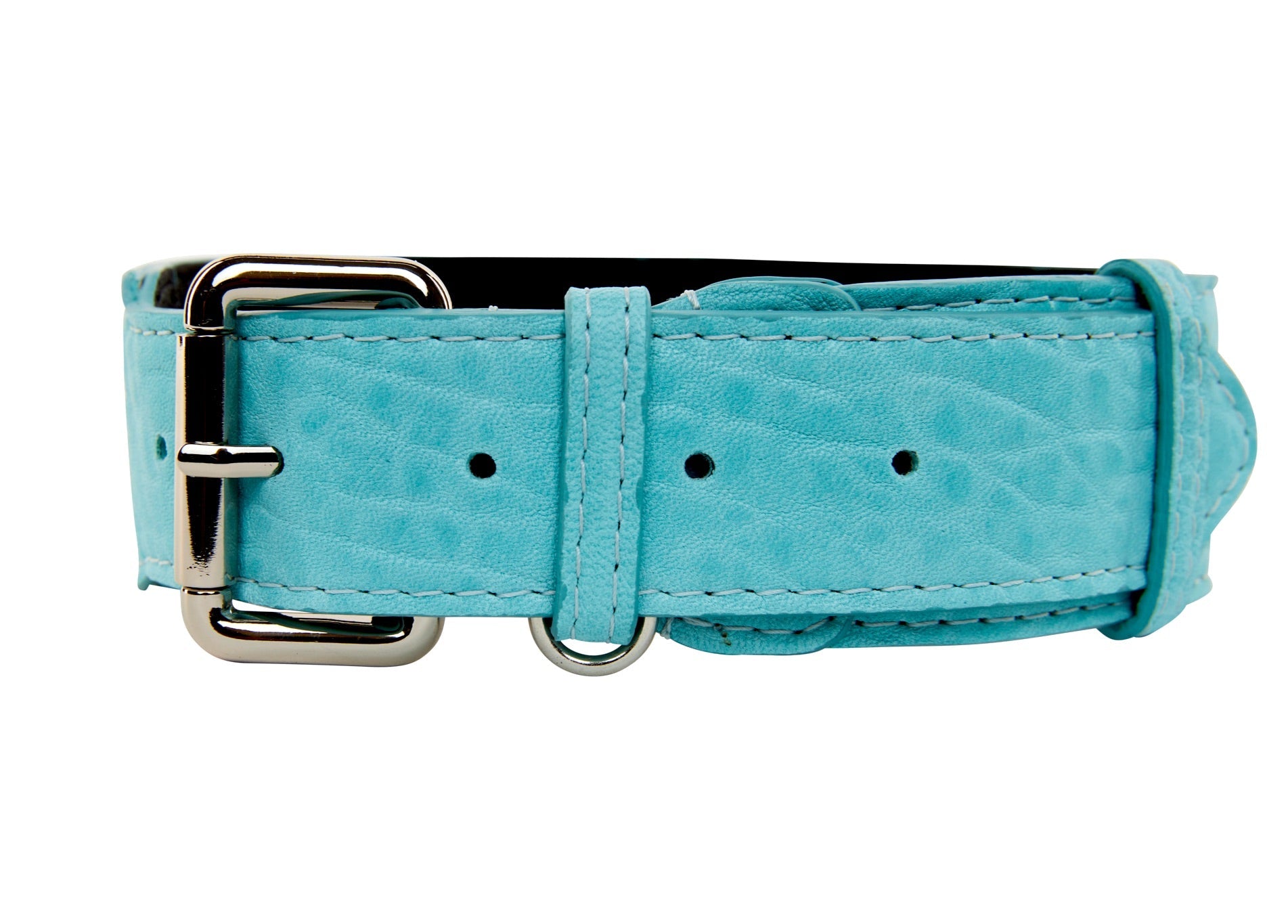 Allysa Payne Turquoise Blue Distressed Italian Leather Classic Dog Collar