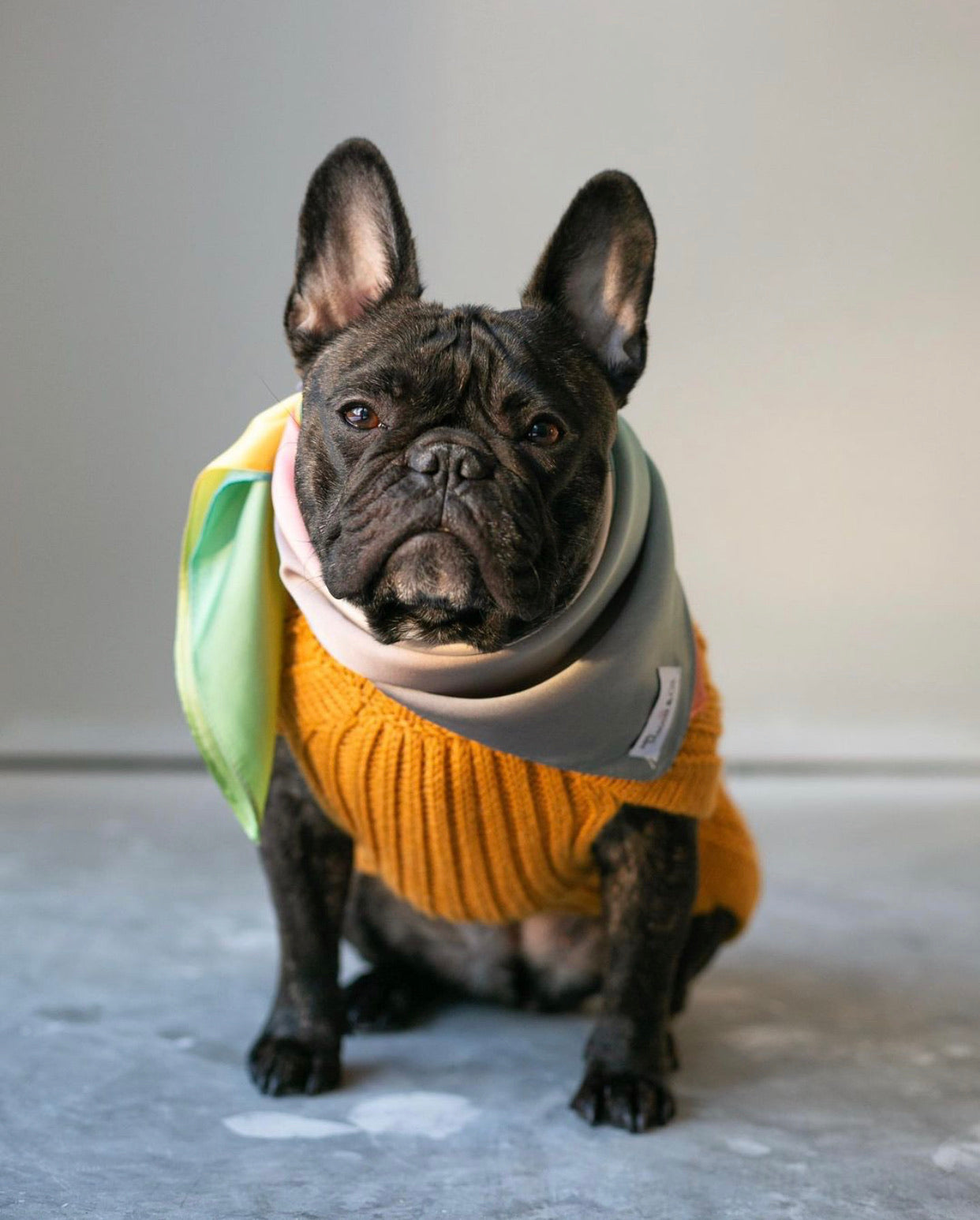 Scarf: Lulu