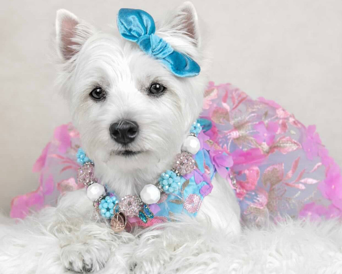 Necklace: Kotton Kandy