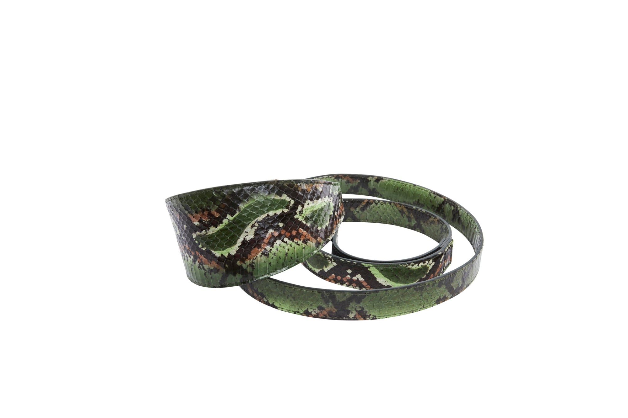 Allysa Payne Multi Color Green Snake 3-Inch Wide Style Dog Collar & Leash Set