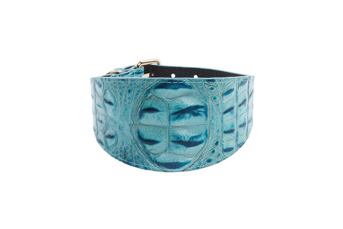 Allysa Payne Turquoise Embossed Croc Italian Leather 3-Inch Wide Style Dog Collar