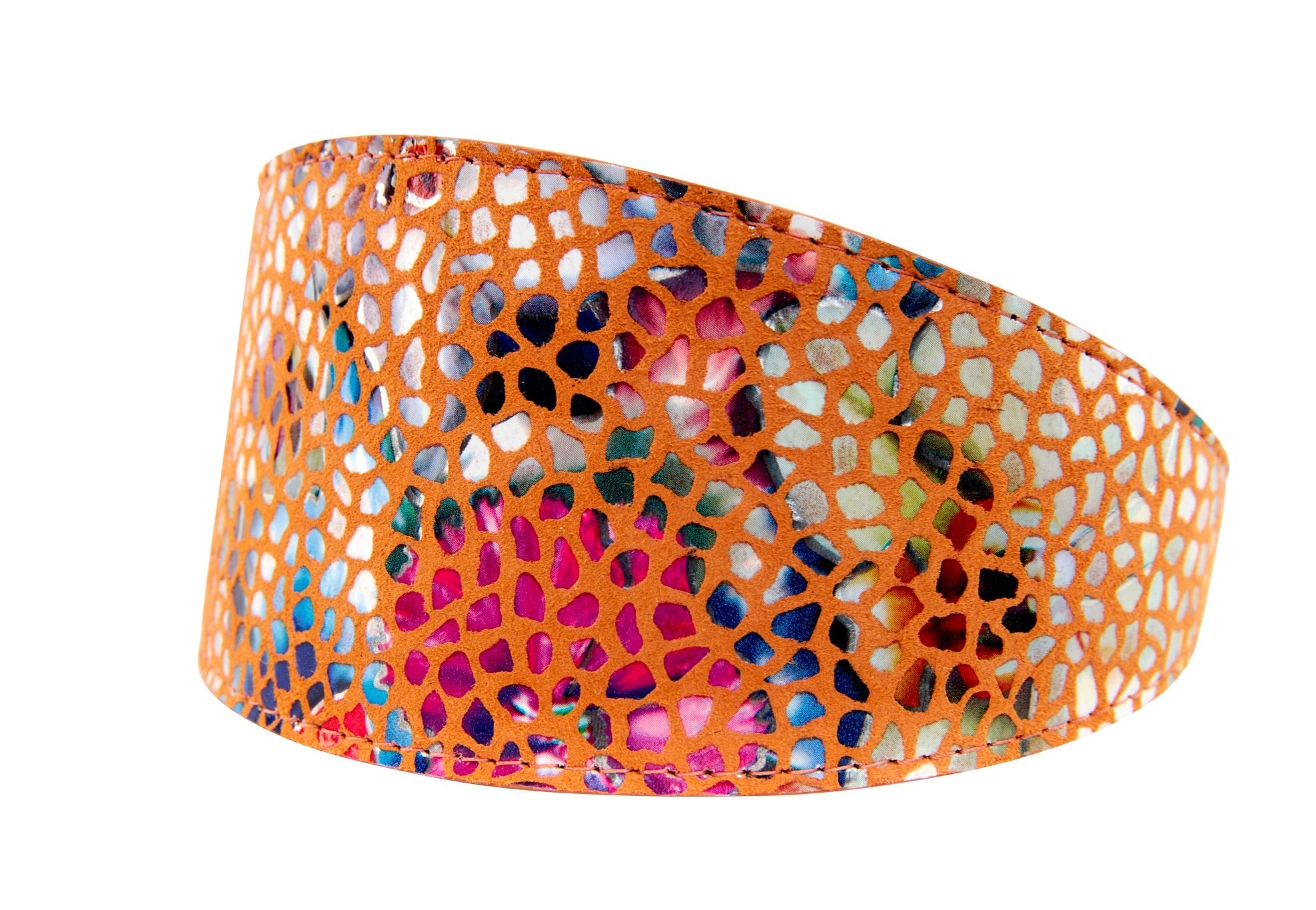 Allysa Payne Orange Floral Mosaic Italian Leather 3-Inch Wide Style Dog Collar