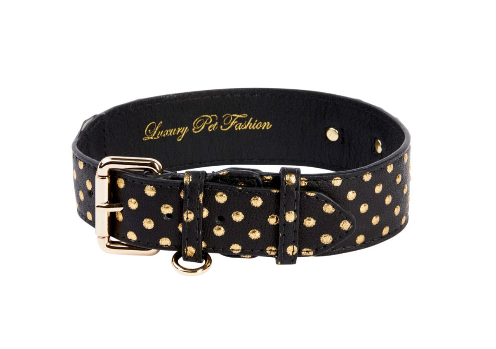 Allysa Payne Black & Gold Polka Dot Italian Leather Classic Dog Collar