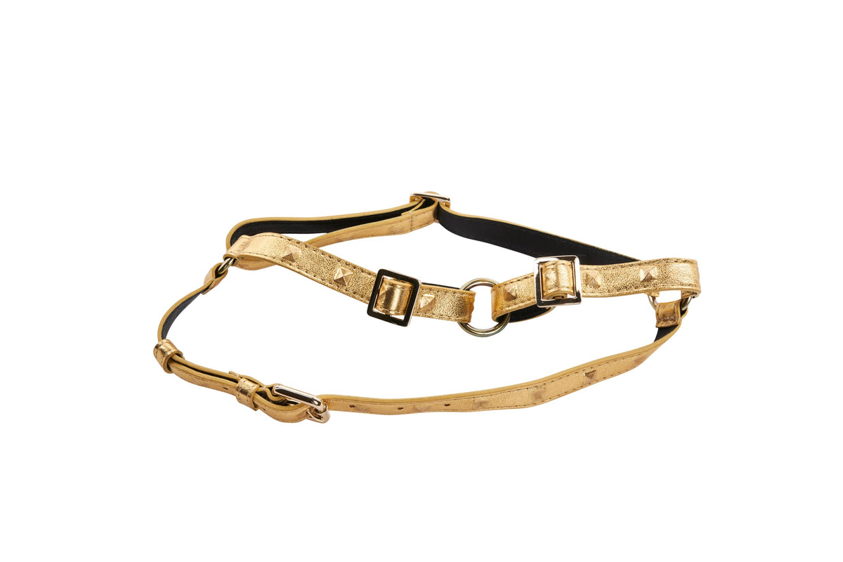 Allysa Payne Gold Studded Italian Leather Dog Harness