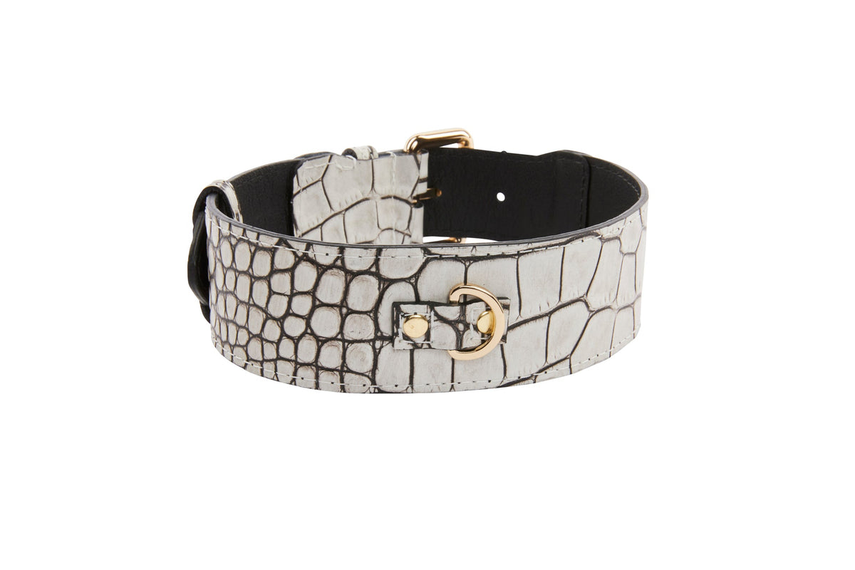 Allysa Payne Dark Brown/Off White Embossed Croc Italian Leather Classic Dog Collar With Gold Classic Hardware