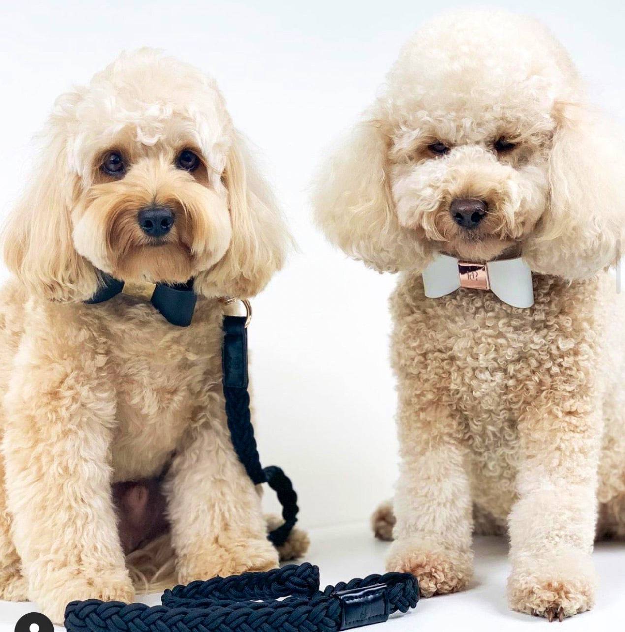 Leather Bow Tie Collar - Midnight