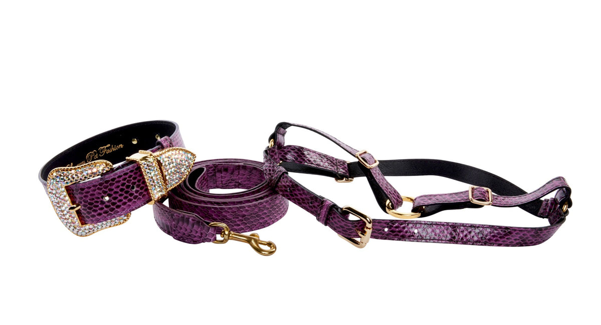 Allysa Payne Luxury Pet Fashion Purple & Black Viper Snake Dog Collar With Swarovski Crystal Hardware