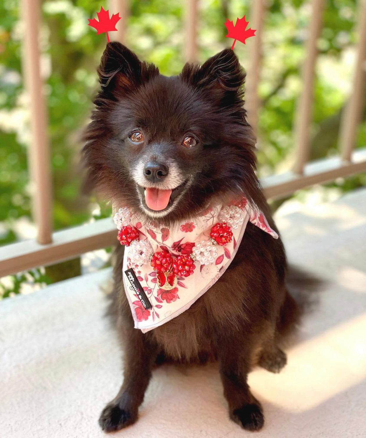 Enchanted Garden Cotton Bandana