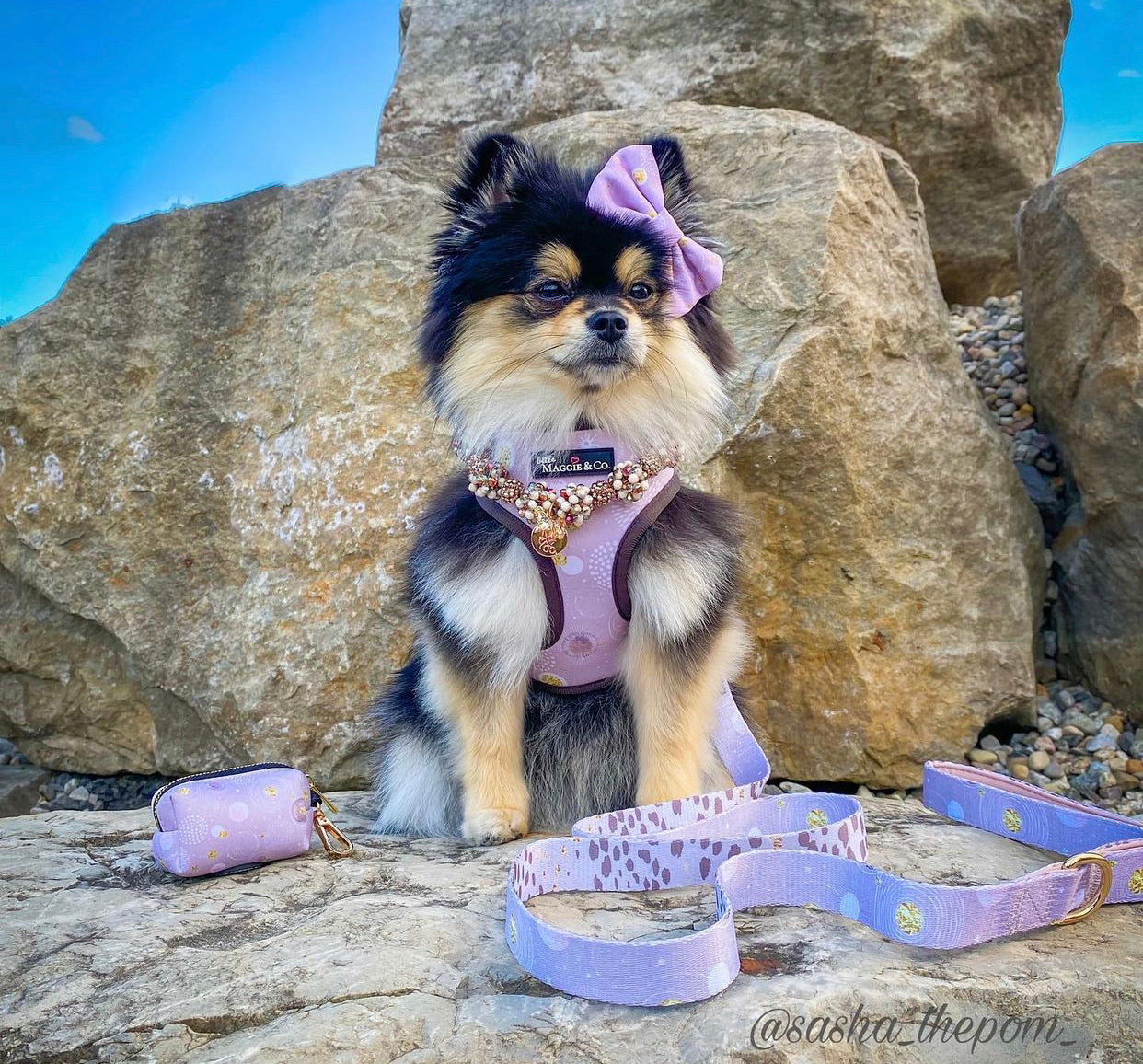 Essential Bundle: Cosmic