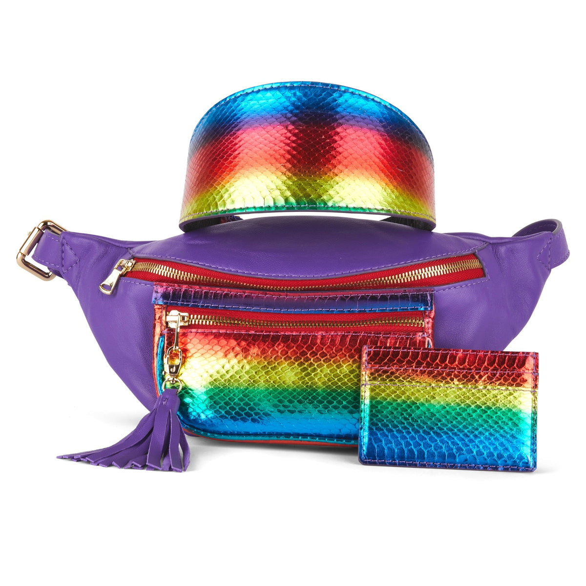 Allysa Payne Rainbow Snake Set Dog Collar