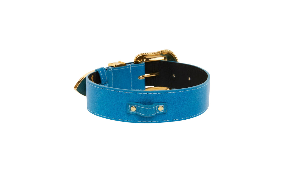 Allysa Payne Vegetable Colored Italian Leather Dog Collar With Gold Swarovski Crystal Hardware