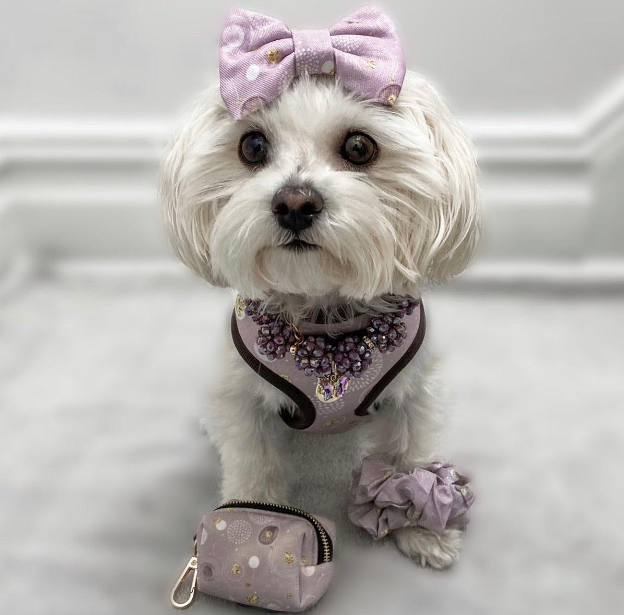 Essential Bundle: Cosmic