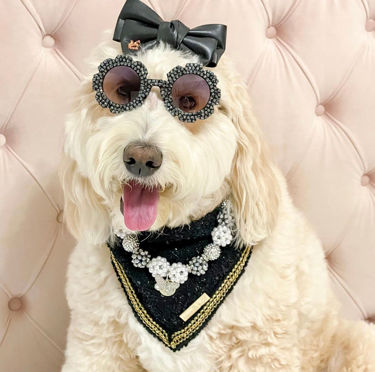Coco Runway: Dur Cuire Bandana