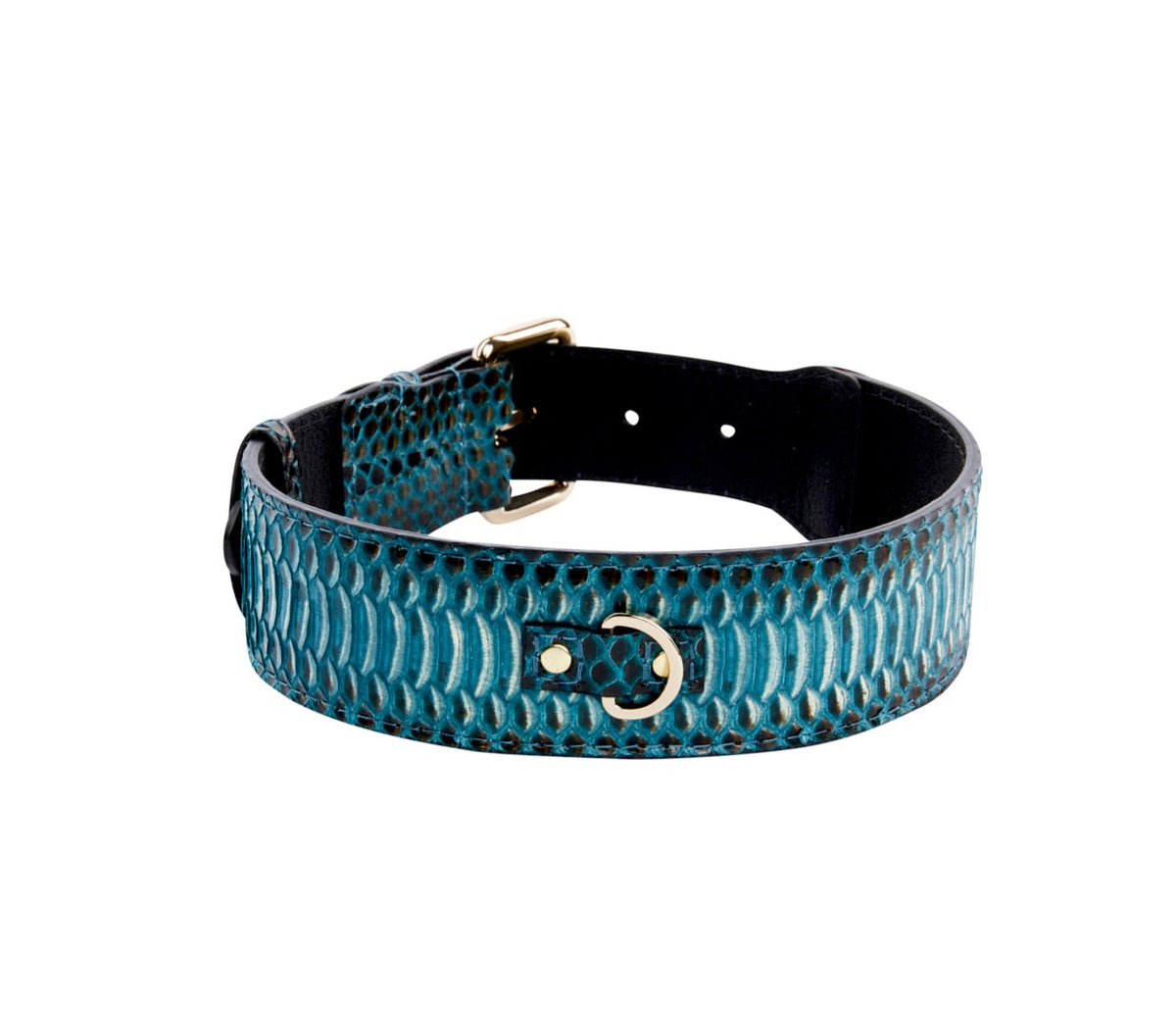 Allysa Payne Turquoise, Black Snake Classic Dog Collar With Silver & Gold Classic Hardware Set Of 2