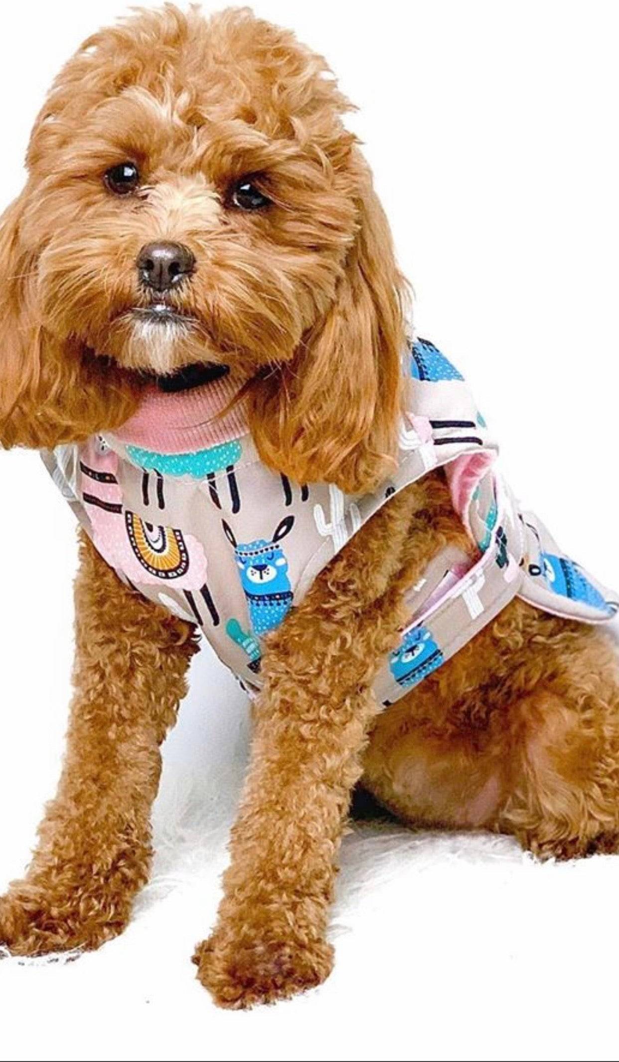 (NEW)The Alpaca Wrap Raincoat