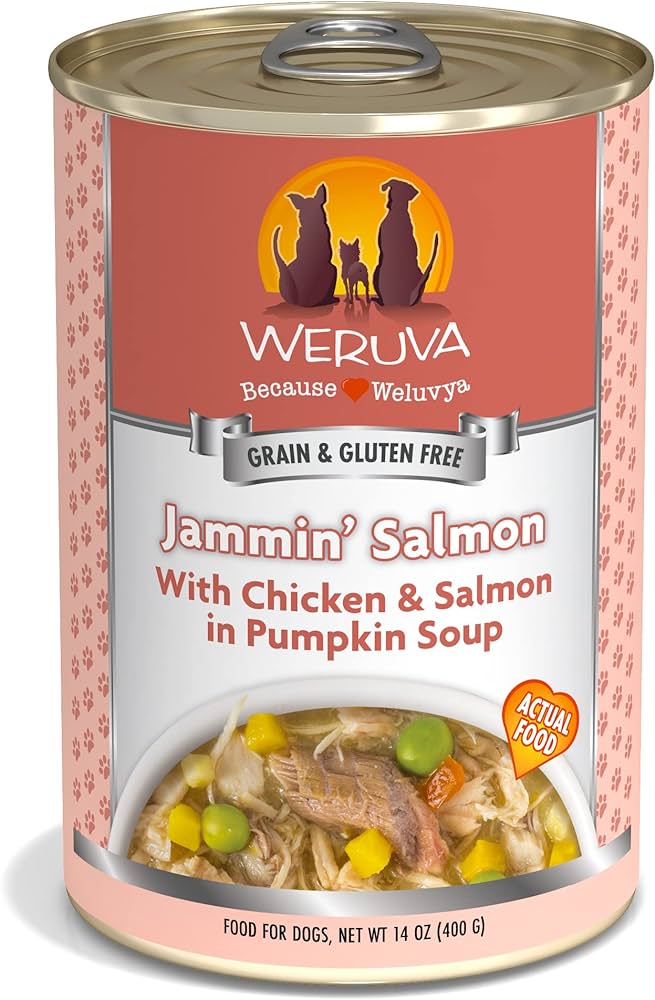 Weruva Jammin Salmon Wet Dog Food (14oz)