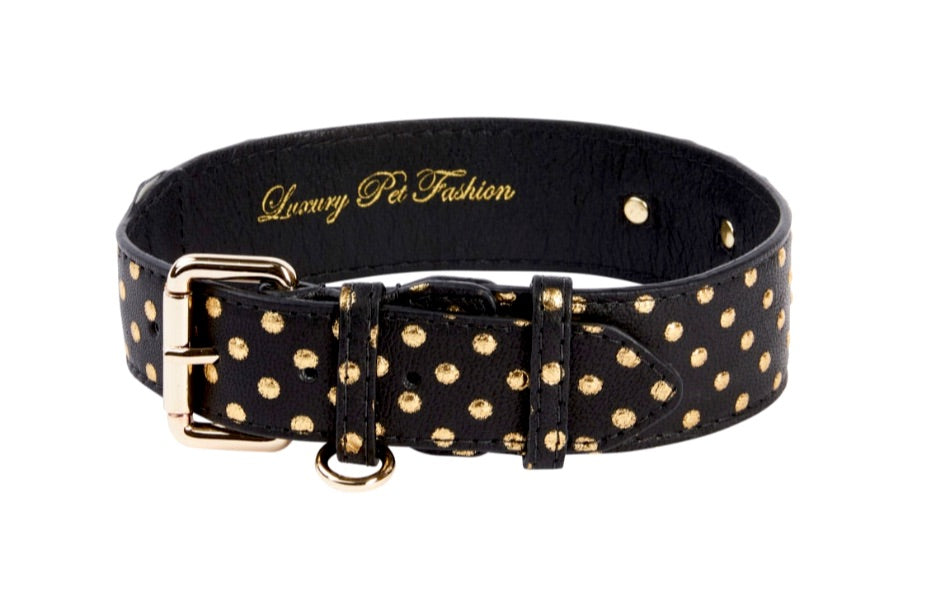 Allysa Payne Black & Gold Polka Dot Italian Leather Classic Dog Collar