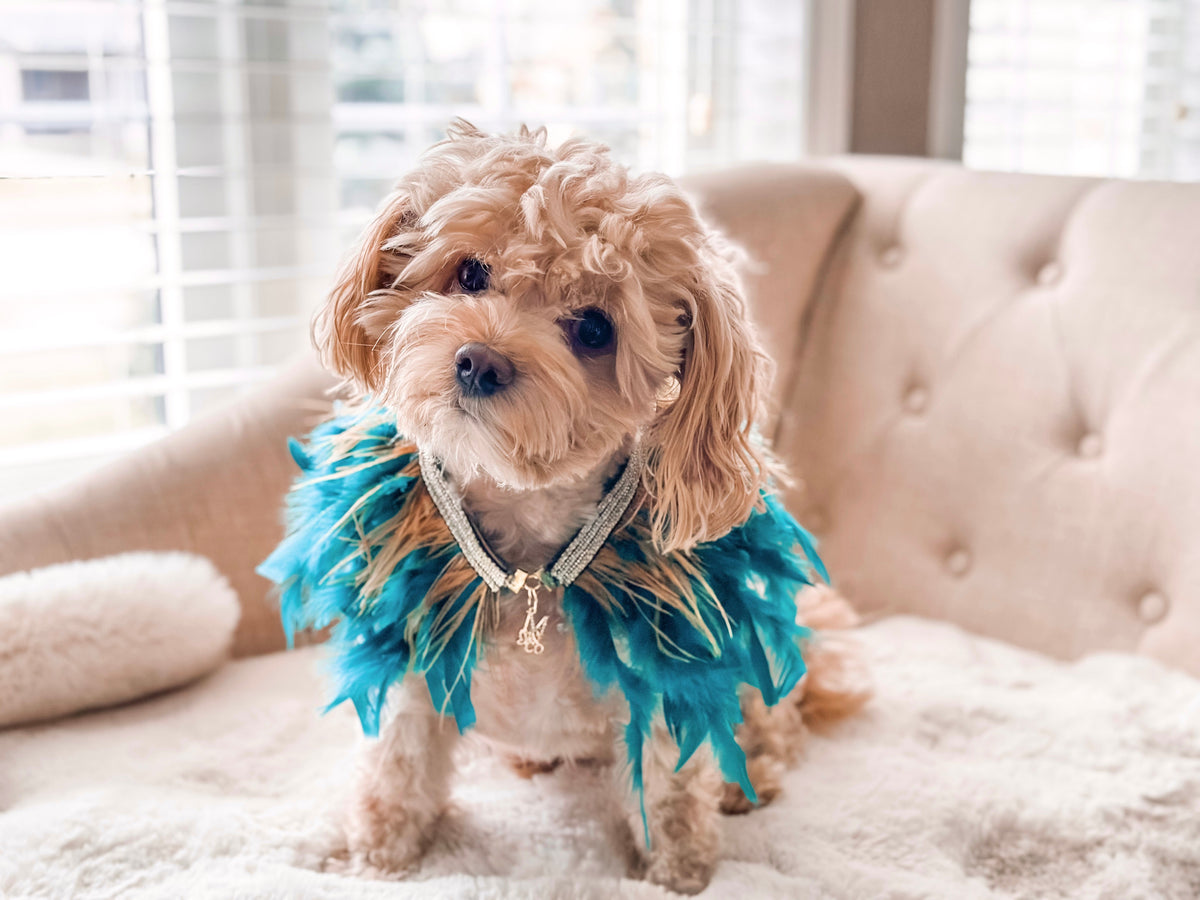 Haute: Paradise