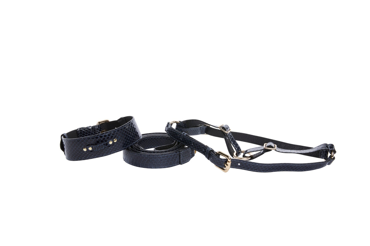 Allysa Payne Navy Blue Snake Classic Hardware Dog Collar, Leash & Harness Set