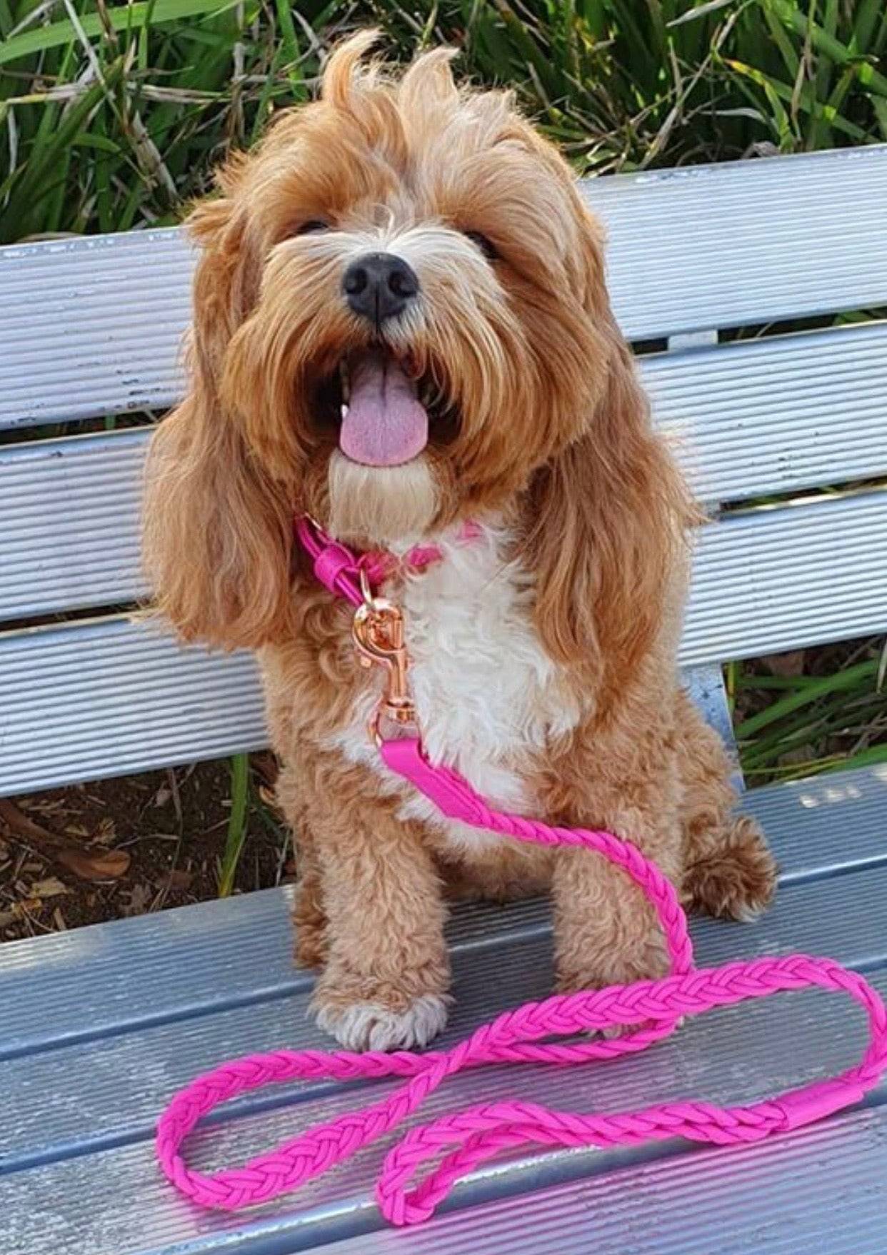 Dog Collar Lipstick Pink